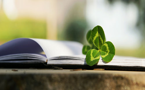 云南成人高考 云南成人高考